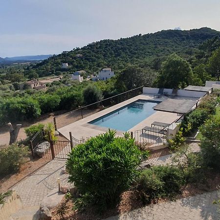 Tres Belle Residence Vue Mer Et Piscine Chauffee - Baccalocation Porto-Vecchio  Buitenkant foto